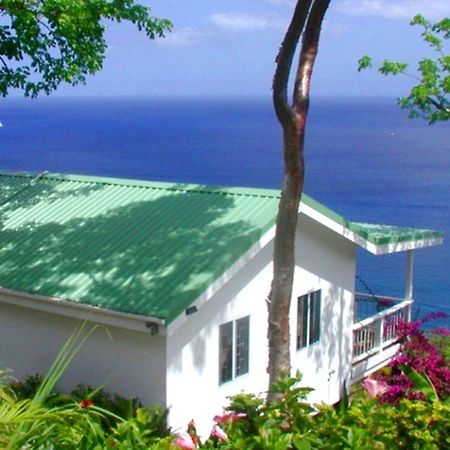 Nature'S Paradise Bed & Breakfast มาริกอทเบย์ ภายนอก รูปภาพ