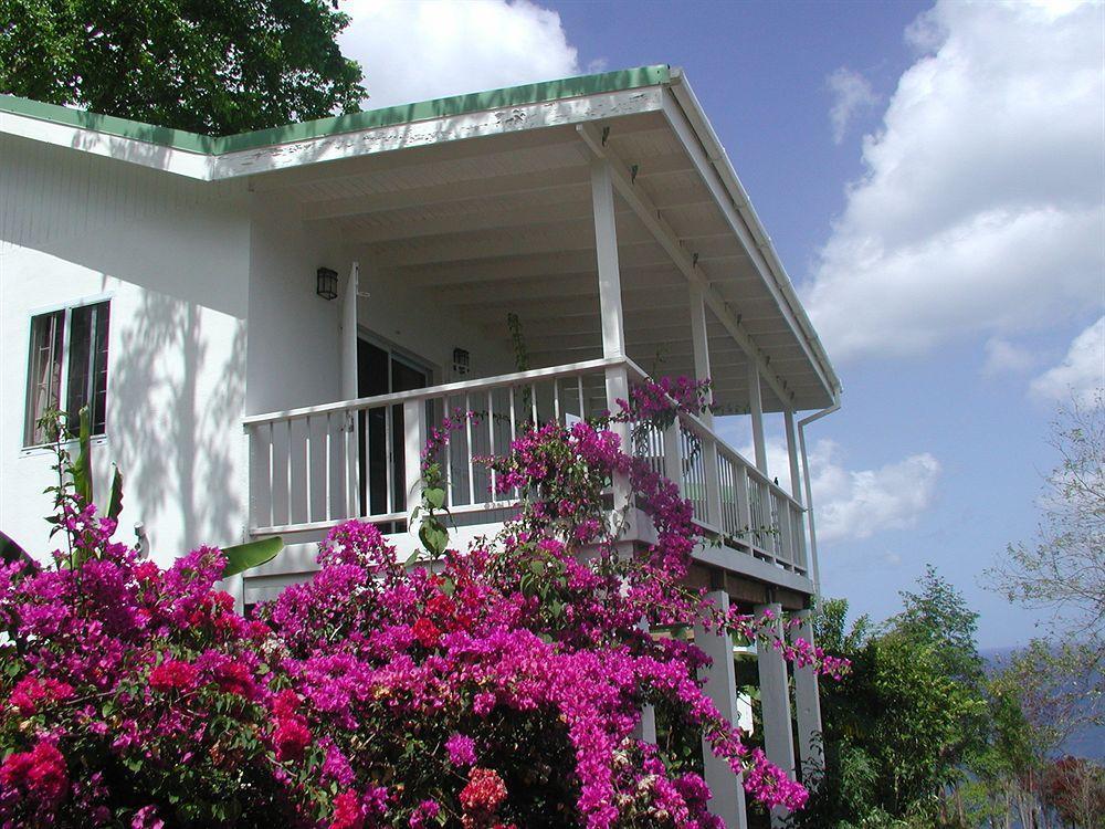 Nature'S Paradise Bed & Breakfast มาริกอทเบย์ ภายนอก รูปภาพ