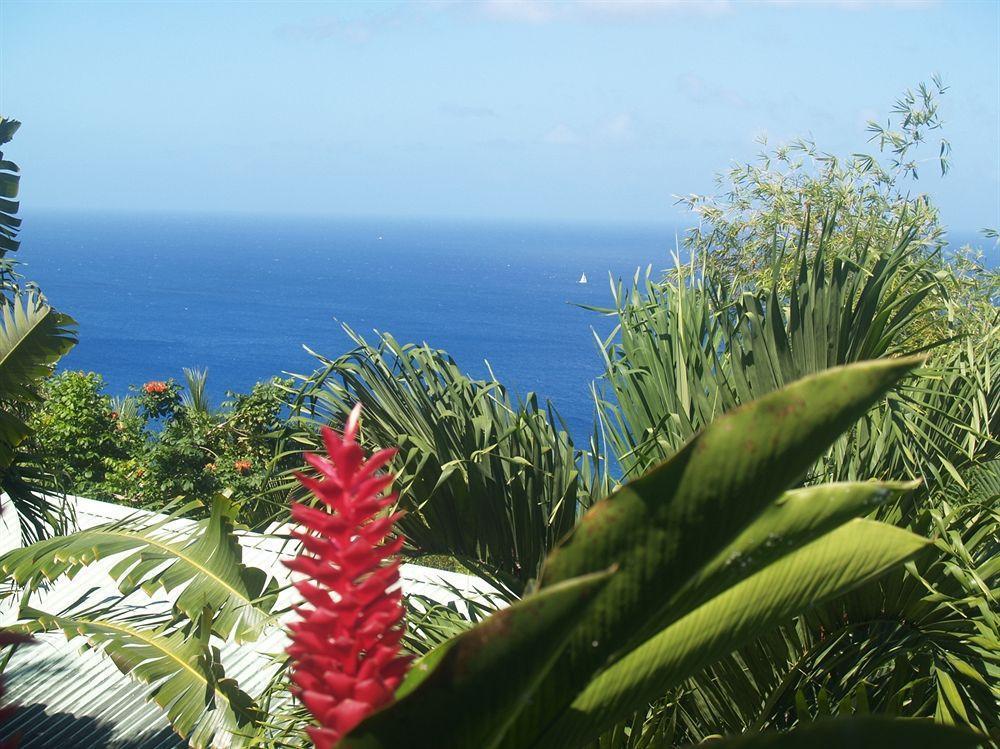 Nature'S Paradise Bed & Breakfast มาริกอทเบย์ ภายนอก รูปภาพ