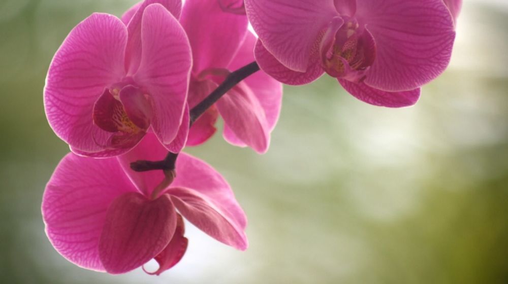 Nature'S Paradise Bed & Breakfast มาริกอทเบย์ ภายนอก รูปภาพ