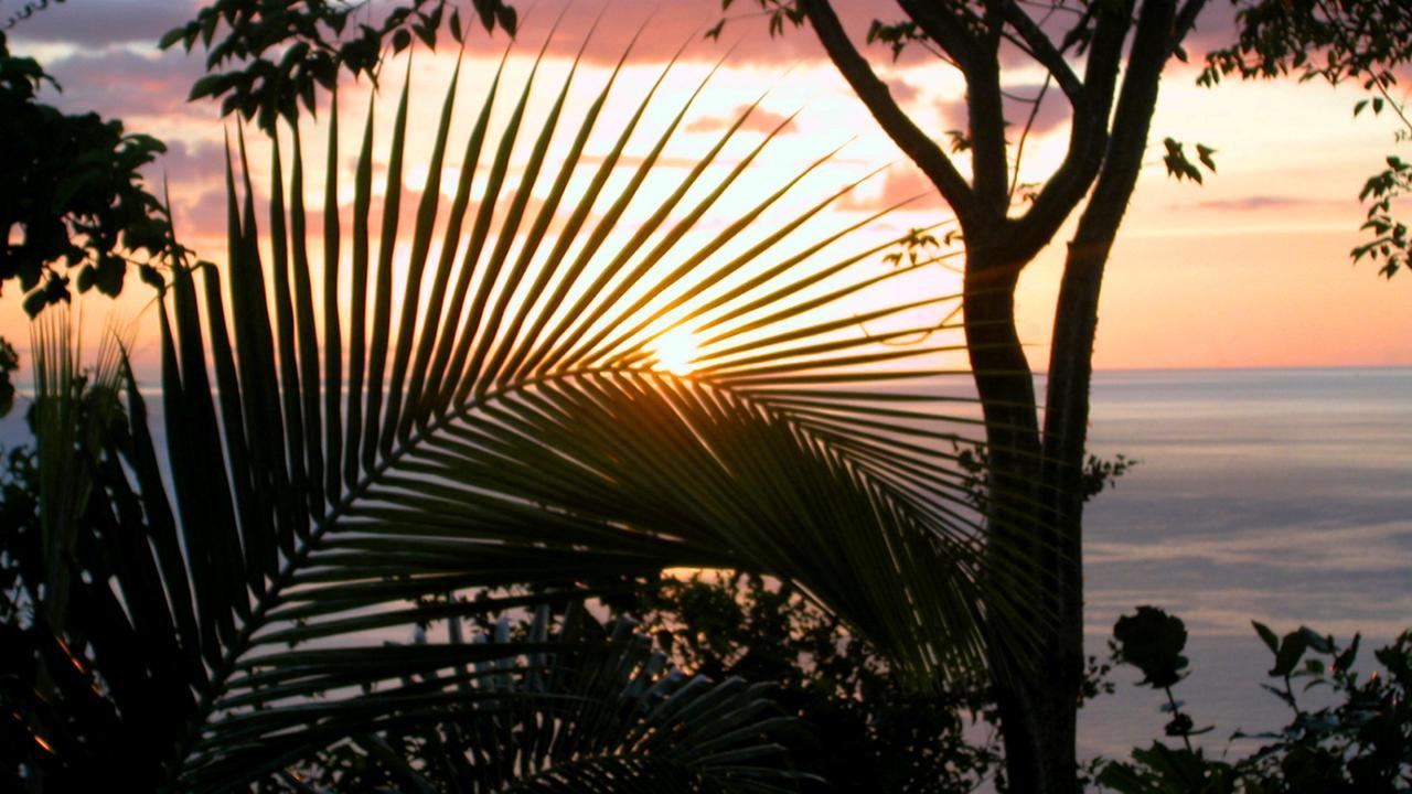 Nature'S Paradise Bed & Breakfast มาริกอทเบย์ ภายนอก รูปภาพ