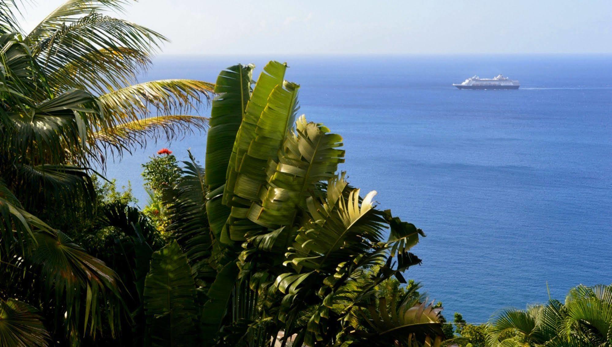 Nature'S Paradise Bed & Breakfast มาริกอทเบย์ ภายนอก รูปภาพ
