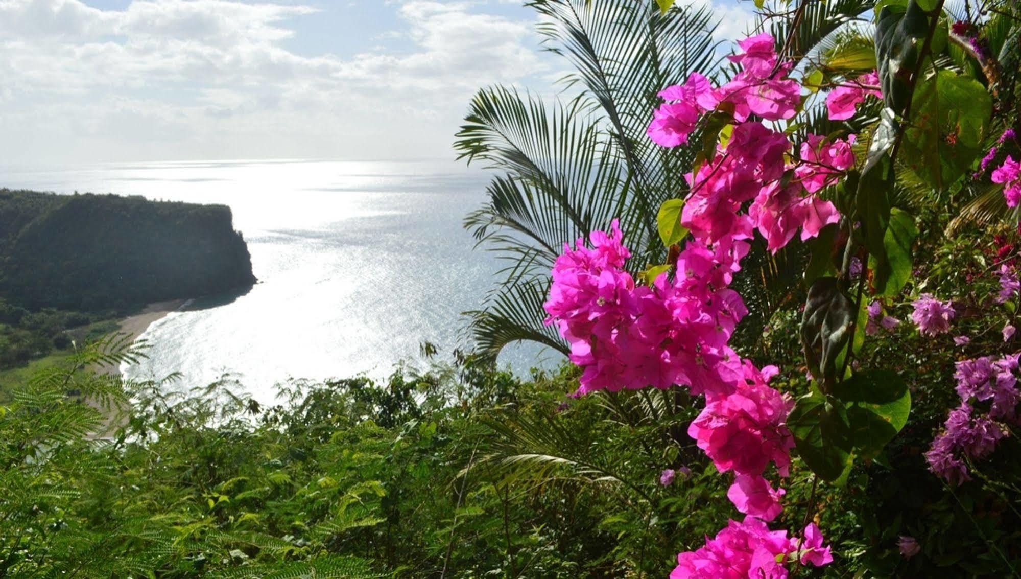 Nature'S Paradise Bed & Breakfast มาริกอทเบย์ ภายนอก รูปภาพ